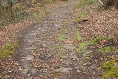 
Lasgarn Railroad sleepers, March 2009